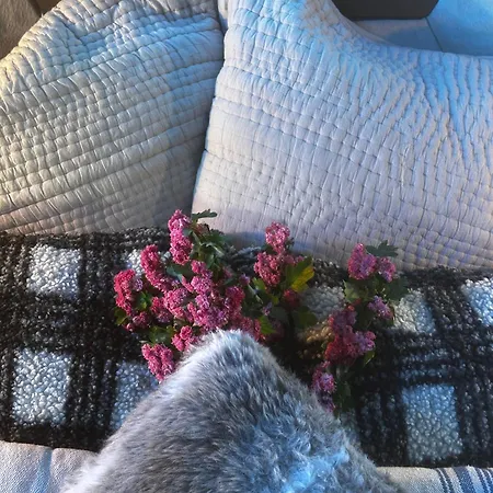 F'net De Charme Stylish Cosy Insolite